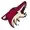 arizona coyotes