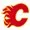 calgary flames