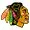 Chicago Blackhawks