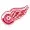 detroit red wings