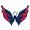 washington capitals